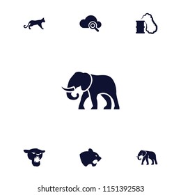 Big icon. collection of 7 big filled icons such as panther, elephant, smoking can. editable big icons for web and mobile.