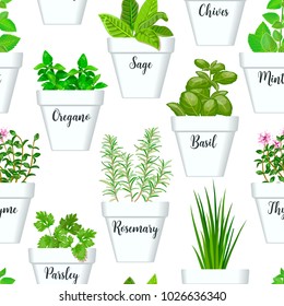 Big icon seamless pattern vector set of culinary herbs in white pots with labels. Green growing basil, sage, rosemary, chives, thyme, parsley, mint, oregano with text. Gardening. For advertising, wrap