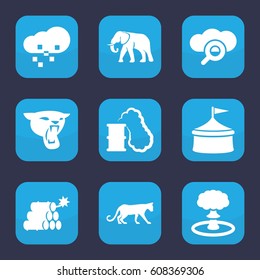 Big icon. set of 9 filled big icons such as panther, elephant, defragmentation, dynamite, explosion, smoking can, circus