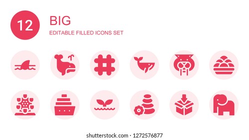 big icon set. Collection of 12 filled big icons included Shark, Whale, Hashtag, Saber toothed tiger, London eye, Cruise, Stone, Packing, Kanji vadas, Elephant