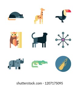 big icon set. vector set about meteor, giraffe, crocodile and rhinoceros icons set.