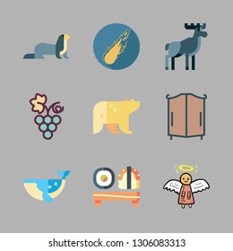 big icon set. vector set about polar bear, meteor, moose and animals icons set.