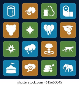 Big icons set. set of 16 big filled icons such as panther, elephant, paper towel, defragmentation, dynamite, explosion, smoking can, explode, circus, bear