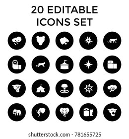 Big icons. set of 20 editable filled big icons such as panther, paper towel, circus, bear, explode, search cloud, defragmentation. best quality big elements in trendy style.