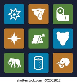 big icons set. Set of 9 big filled icons such as elephant, panther, paper towel, dynamite, explosion