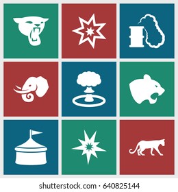 Big icons set. set of 9 big filled icons such as panther, elephant, explosion, smoking can, explode