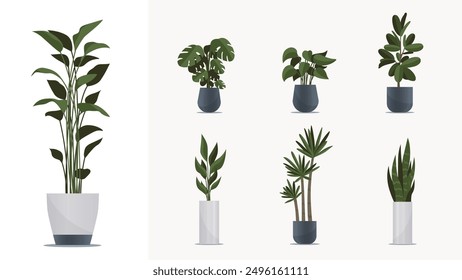 Big indoor plants pack. Elements for animation, design interiors, game, advertisign, illustration or web. Collection of green homeplants in pots, flat style