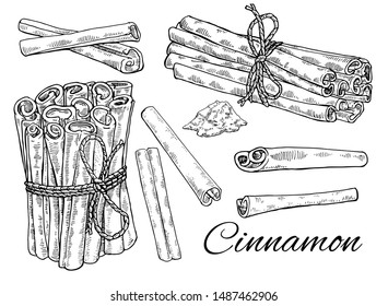 Big Ink Cinnamon hand drawn set. Including Tied bunch of Cinnamon sticks, sticks and powder. Retro botanical art. Medical herb and spice. Herbal vector illustration isolated on white background