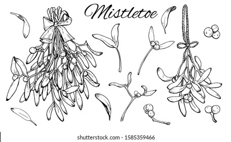 Big Ink Mistletoe Hand drawn set. Branch with ribbon, leaves and berries. Vintage Vector illustration isolated on white background.Perfect for Christmas greeting card, poster, template, invitations
