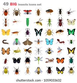 Big insects color flat icons set