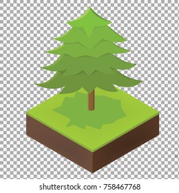 Big isometric Spruce tree illustration to create a design landscape and parks on transparent background. Flat 3d isometric stock vector illustration. -stock vector