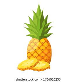 A big, juicy pineapple and its pieces. Vector illustration of an isolated tropical fruit. 