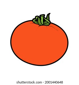 Big juicy tomato color variation for coloring page isolated on white background