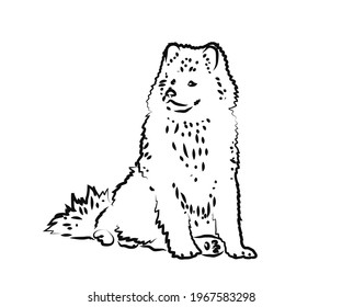 Big kind dog on a white background. Sketch. Vector illustration.