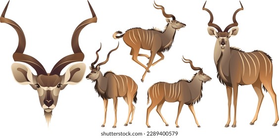 Big kudu african antelope realistische Illustration seltenes Tier