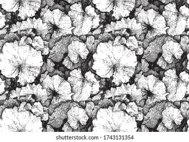 Big leaves pattern. Vector illustration.