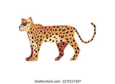 big leopard illustration over white