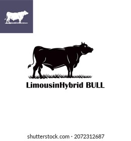 big limousin hybrid bull logo, silhouette of bad bull standing vector illustrations