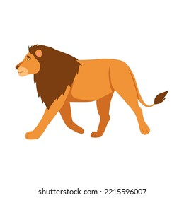 Big lion cartoon character vector illustration. Orange feline, king of animals with tail walking isolated on white background. Nature, wildlife, animals concept