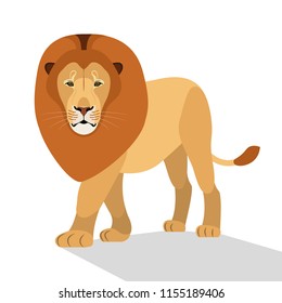 Big lion isolated on white, the king of beasts, a predator, an African beast, a zoo resident, a big and strong cat. Flat design. Vector illustration. EPS10