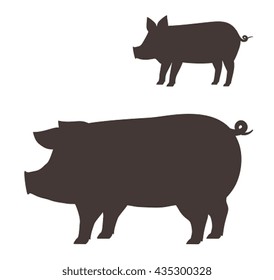 Big and  little pig on white background.