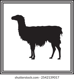 Big llama silhouette illustration, wildlife animal.