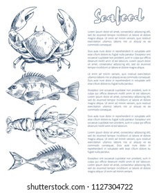 Big lobster and crayfish, bream or bass snack seafood vintage hand drawn vector illustration poster in sketch style with text sample for promotion.