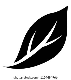 
A big longer in shape and thinner in width is denoting magnolia leaf 
