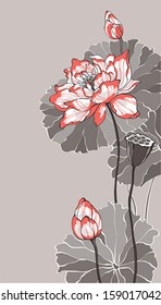 Big lotus on grey background