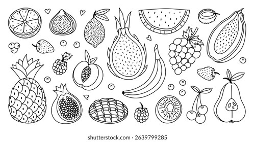 Big lovely black and white set with summery tropical fruits and berries. Hand drawn doodle exotic yummy watermelon, kiwi, orange, lemon, papaya for print, social media, packaging, restaurant, poster