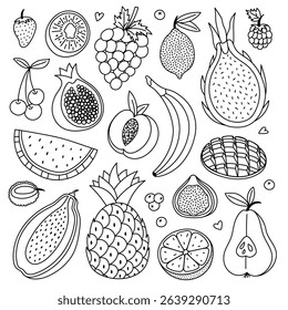 Big lovely doodle set with summertime fruits and berries. Hand drawn outline tropical, exotic, farming sweet food for print, social media, packaging, restaurant menu. Grape, peach, pear, mango.