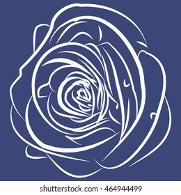 Big, lush, contoured rose