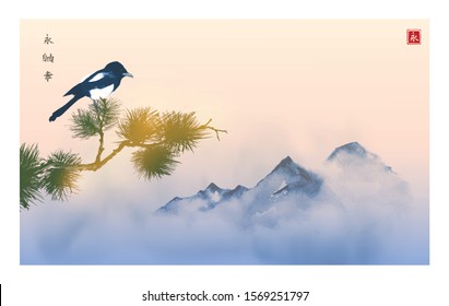 Big magpie bird, pine tree branch and far blue mountains on sunrise background. Traditional oriental ink painting sumi-e, u-sin, go-hua. Hieroglyph - eternity.