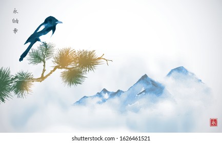 Big magpie bird, pine tree branch and far blue mountains in fog. Traditional oriental ink painting sumi-e, u-sin, go-hua.Hieroglyphs - eternity, freedom, happiness