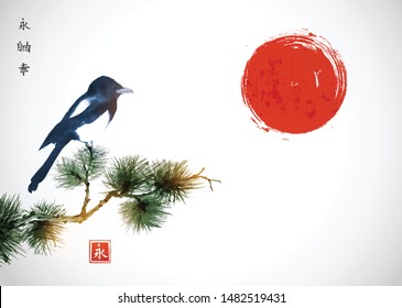 Big magpie bird sitting on pine tree branch and big red sun. Traditional oriental ink painting sumi-e, u-sin, go-hua. Hieroglyphs - eternity, freedom, happiness