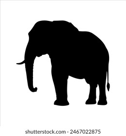 Big male elephant silhouette isolated on white background. Elephant icon vector illustration design.