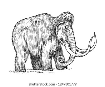 Big mammoth. Extinct animal. Ancestors of elephants. Vintage style. Engraved hand drawn sketch. Vector illustration