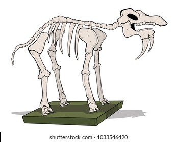 Big Mammoth Skeleton