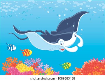 Cartoon Manta Ray High Res Stock Images Shutterstock