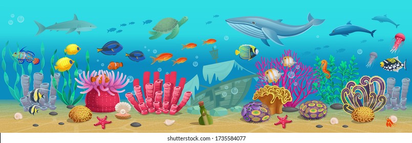 Anemone Fish High Res Stock Images Shutterstock