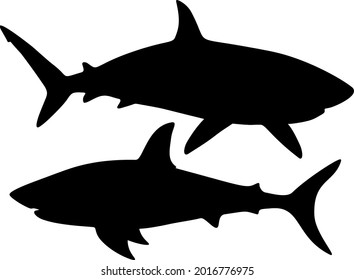 Grandes tiburones marinos. Imagen vectorial. 