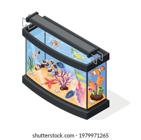 Big modern aquarium with exotic fish corals and plants isometric composition 3d vector illustration