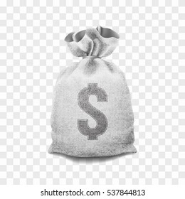 Big Money bag on a transparent background