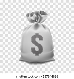 Big Money bag on a transparent background