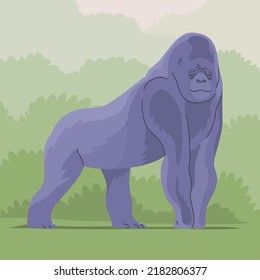 Big monkey gorilla on the background of wildlife. Anthropoid primate. Great ape. Wild african animal. Fauna and zoology. Flat vector illustration