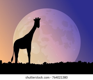 Big moon in the night. Giraffe silhouette vector illustration. A beautiful glow of blue and pink.