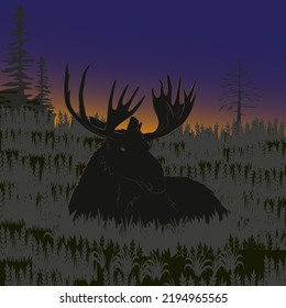 The big moose lying in the grass, the forest, black silhouettes, sunset, sunrise Vector illustration.