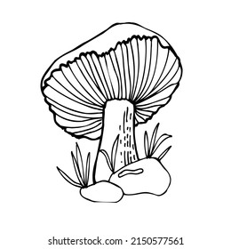 Big mushroom in the forest. Black and white vector image. Healthy food illustration. Coloring.
