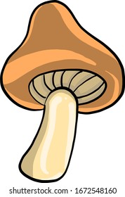 Big mushroom, illustration, vector on white background.