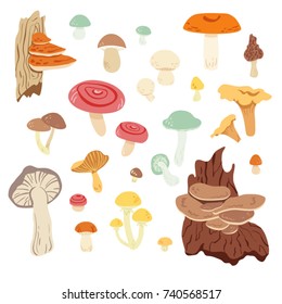 Big mushrooms set. Different edible mushrooms vector illustration.